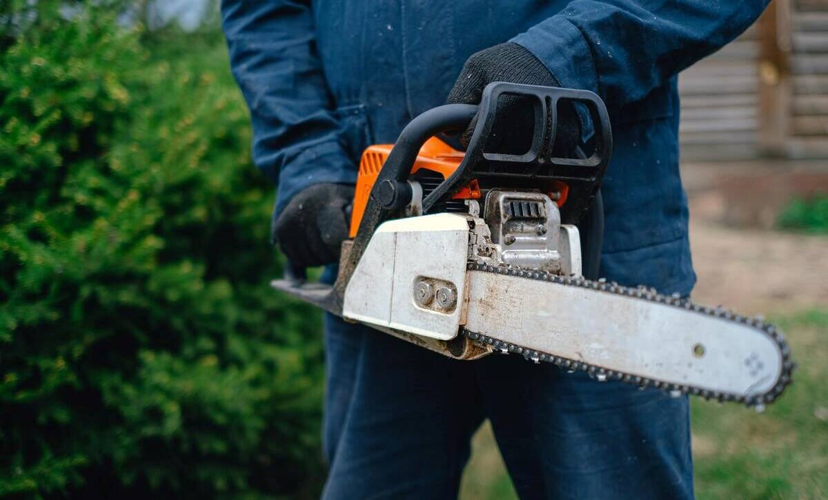 A tree service professional using trimming equipment