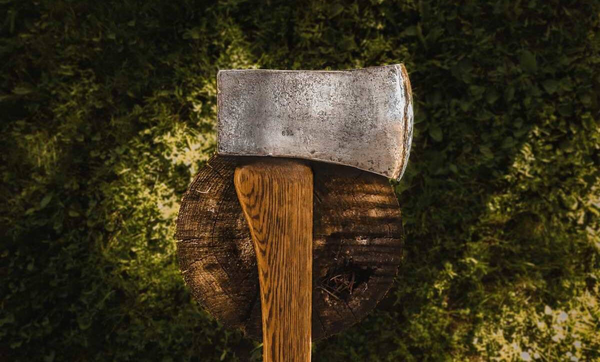 Tree trunk that has been cut down with an axe placed on top.