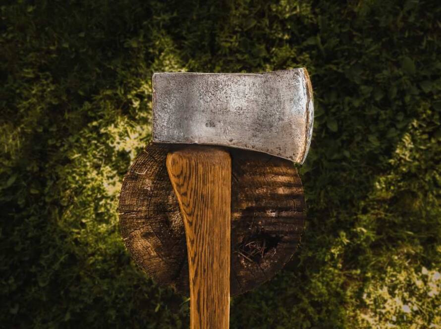 Tree trunk that has been cut down with an axe placed on top.