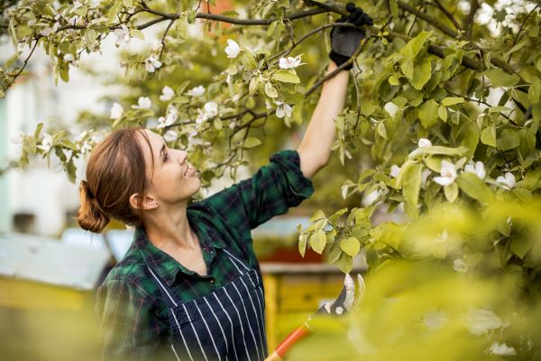 A woman providing tree care