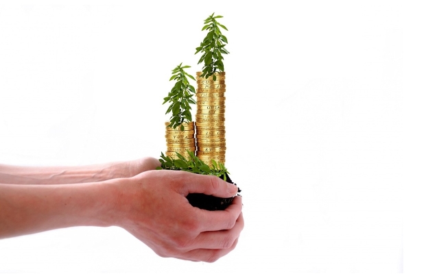 A hand holding increased value of coins with tree & shrub care