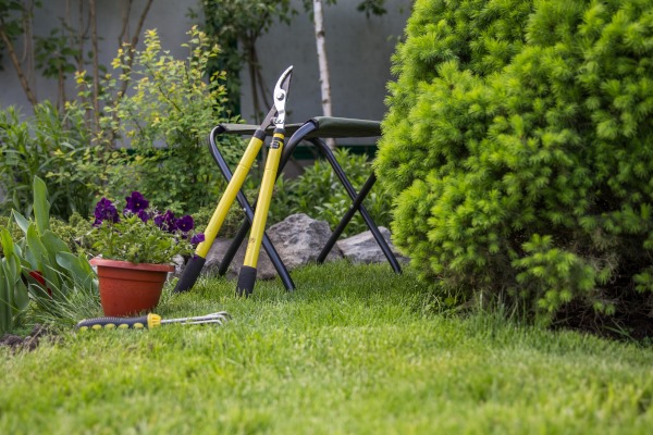 Various garden tools used for tree and shrub maintenance