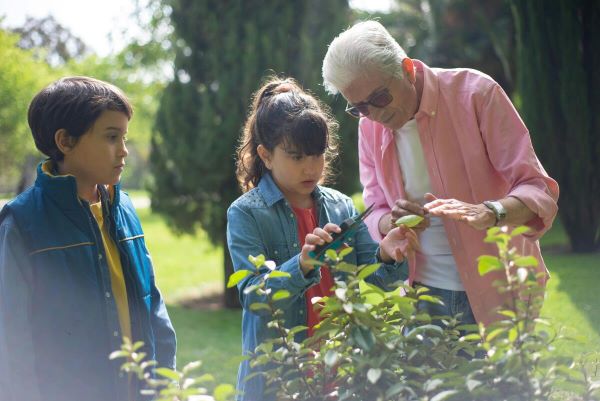 An elderly teaching kids on how to trim plants