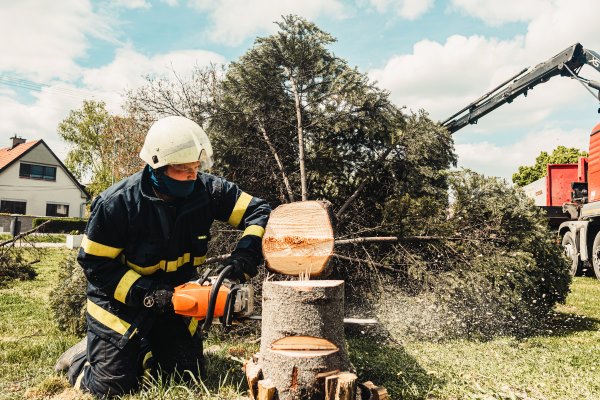 Arborist cutting a tree using equipment, with a truck visible in the background.