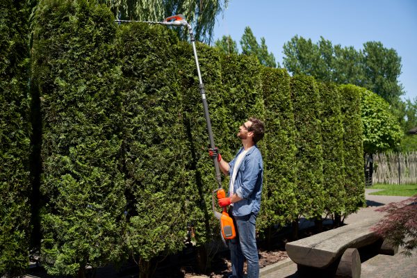 A man using a trimming tool to trim high shrub plants.