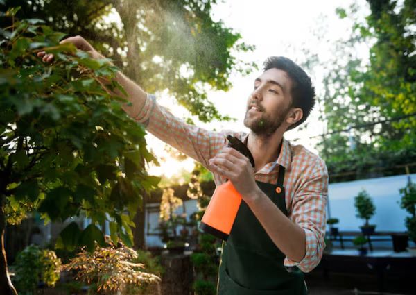 A young man treating the plants with repellents