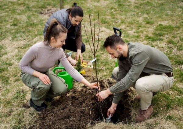 Group of people planting new trees as alternatives to ash trees