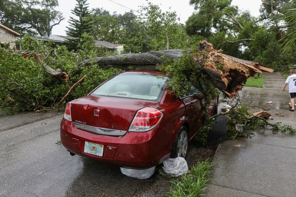 Neglected tree care led to damage on a red car