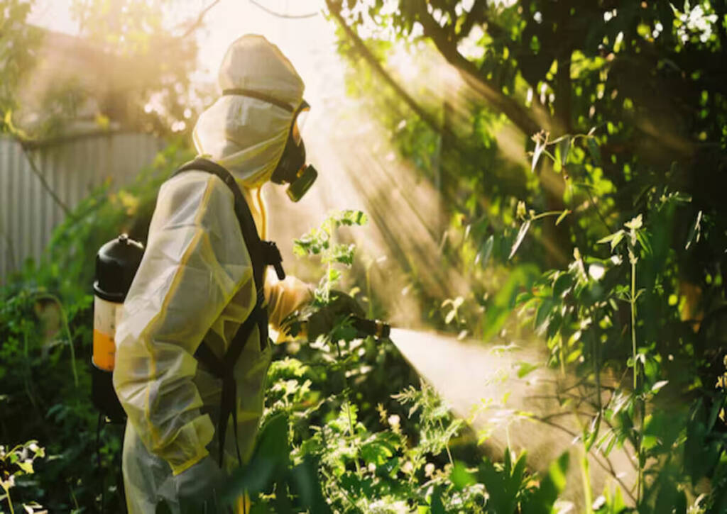 A man spraying insecticide to prevent insect infestations